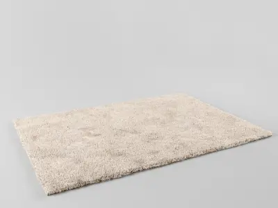 Carpet shaggy rug 3D model