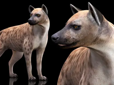  African Mammals Rigged for Maya Collection 2 