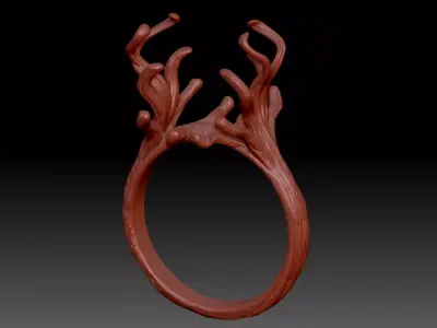 Ring wood  3D print model