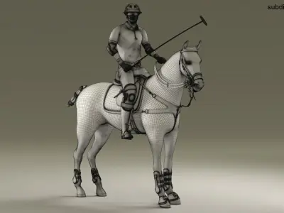  Male Polo Player Animated HQ Editorial License 
