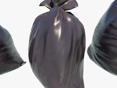 Trash Bag Low-poly 3D model