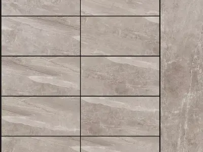 Decovita Sandstorm Light Grey 600x1200 3D model