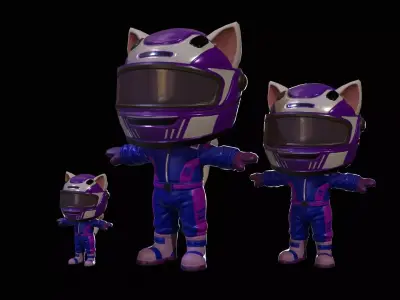 Cat5Pack3 Low-poly 3D model