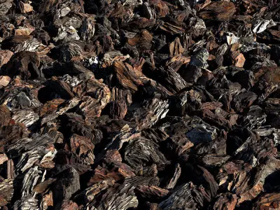 Bark Chips 3D Scan  3D model
