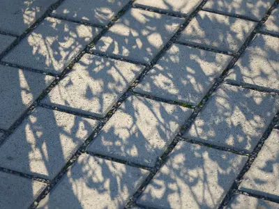 Scanned Stretcherbond Pavement PBR Textures Texture