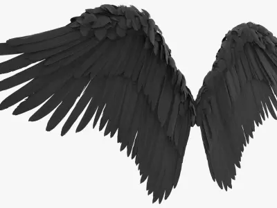  Feathered Angel Wings Black 