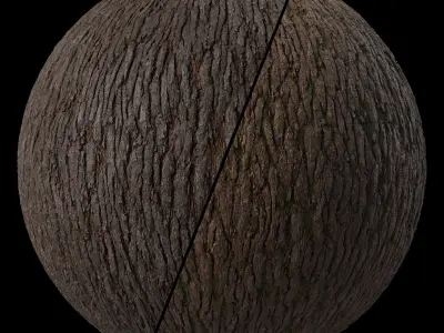 Bark  Materials 02- Seamless PBR 4k Texture
