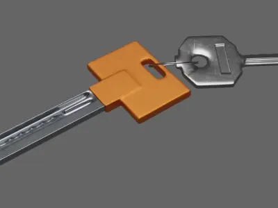 Home Keys With Key Chain Free 3D model
