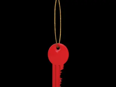 Door Key Free 3D model buy