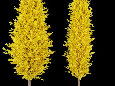 Collection plant vol 218 Free 3D model