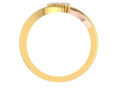 Ring - 2350 3D print model