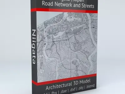 Niigata Road Network and Streets 3D model