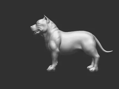 Pitbull Dog - Topology + UV Map