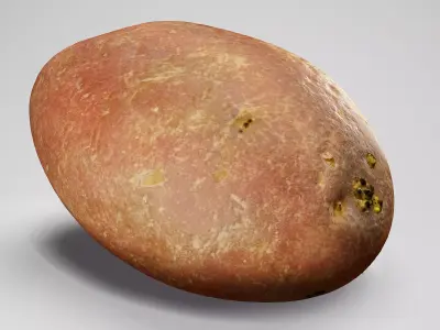  Desiree Potato - Photorealistic Scan Low-poly 3D model