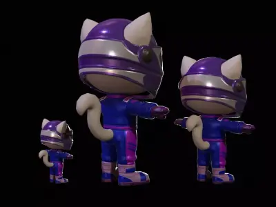 Cat5Pack3 Low-poly 3D model