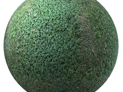 9 seamless moss texture 4096x4096 Texture