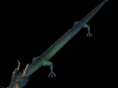  Dragon Chinesedragon 