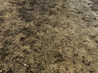 dirtpathscan06102024 3D model