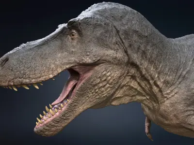  Tyrannosaurus Rex Rigged 