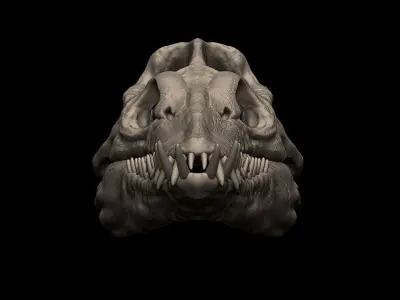 Elasmosaurus Skull 3D print model