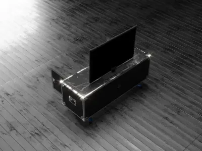 Professional Flight Case 3D model