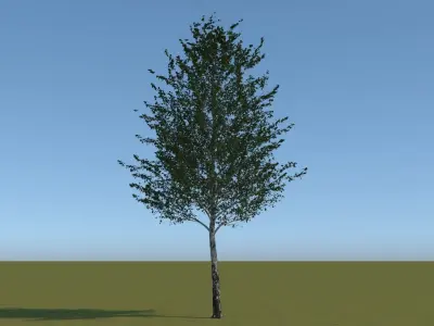 18 Trees Free low-poly 3D model