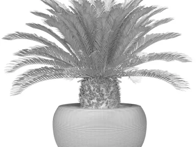 Decorative Evergreen Cycas Palm garden pot planters ArtDeco vase 3D model