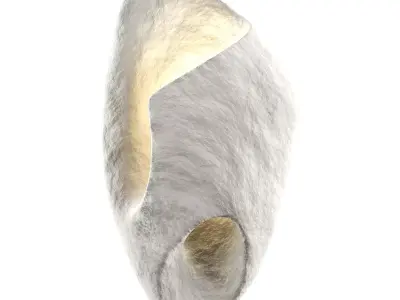 Ma Sconce Bra Low-poly 3D model