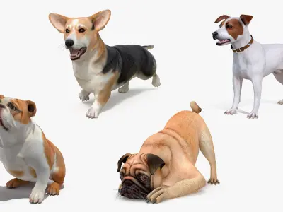  Small Dogs Rigged for Cinema 4D Collection 2 