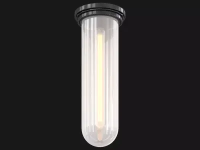 Brass Edge Flush Mount 3D model