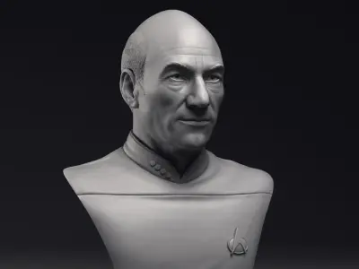 Patrick Stewart as Jean-Luc Picard Bust Printable 3D Model 3D print model