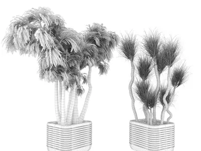 Collection plant vol 9 Free 3D model