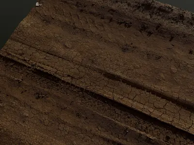 Dirtpath02 piece of wood with cracks in it 3D model