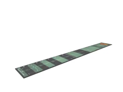 WELLPUTT Golf Putting Training Mat 3D model