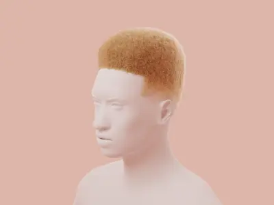 Flat Top Hair 3D model