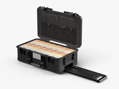 Travel Case Full of Euro 