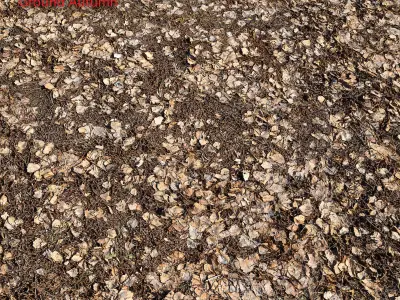 Ultra realistic Ground autumn  3D model