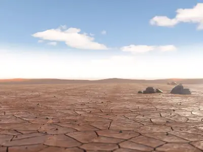 Dried Desert Bed 9 3D model