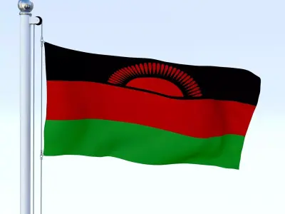 Animated Malawi Flag Low-poly 3D model