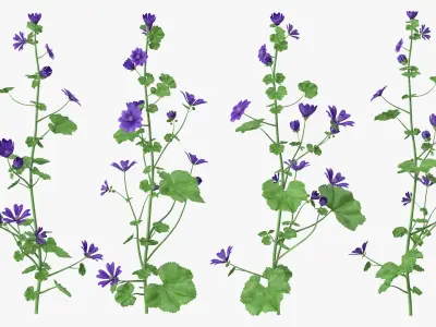  Purple Flowering Plants Collection 5 