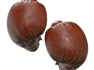 Everlast Realistic Boxing Gloves Low-poly 3D model