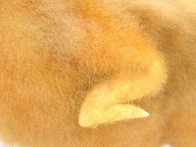  Young Farm Duck Idle Animated Fur Rigged For Blender 