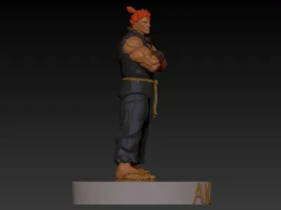 AKUMA street fighter character with hair 3D print model