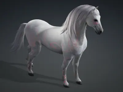 Horse_B3