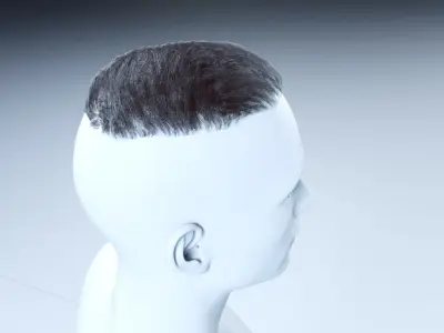 Simple short haircut military hairdcards Low Poly  Low-poly 3D model