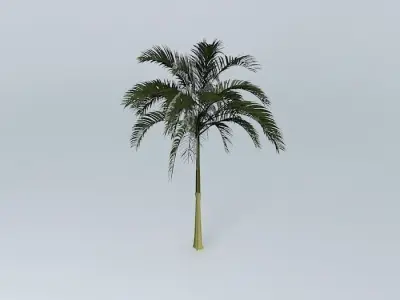 Alexandra Palm Free 3D model