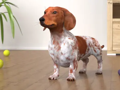  Short-Legged Hound with Dapple Coat Fur for Maya 
