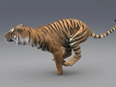  Tiger Animated (Fur) 