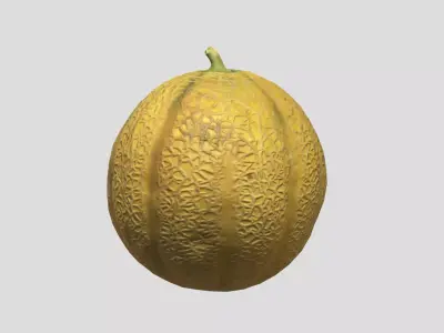 Melon Fruit Low Poly 3D model
