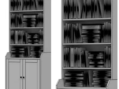 IKEA - HAUGA Tall cabinet with 2 doors and books 3D model